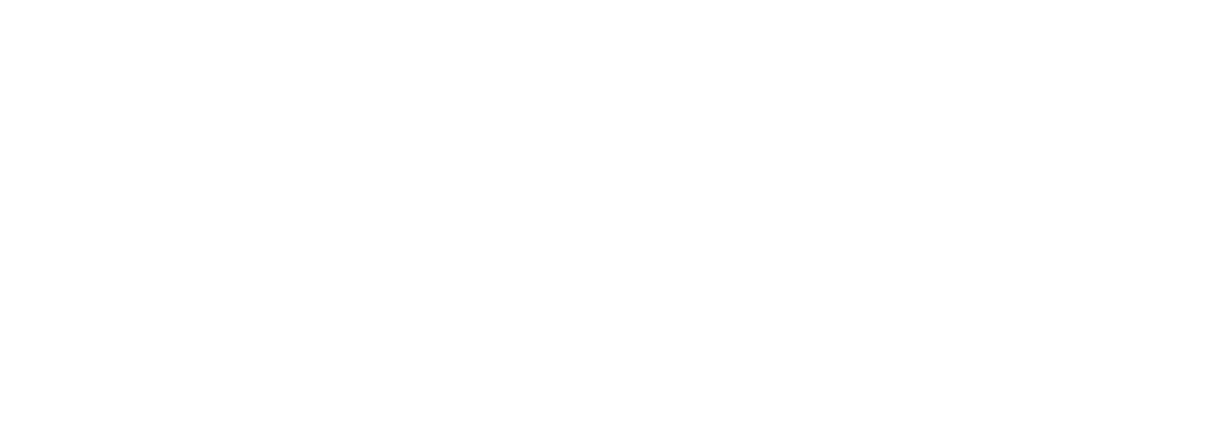 Government licensed immigration advisers - since 1996